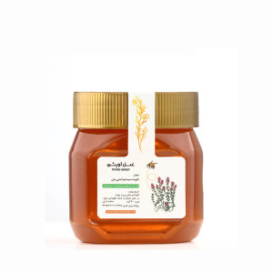 عسل آویشن 400 گرمی | فروشگاه اینترنتی آقای عسل