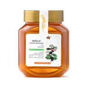 عسل هزارخار یا کرک ممتاز 800 گرمی | فروشگاه اینترنتی آقای عسل