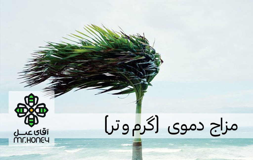 مزاج دموی