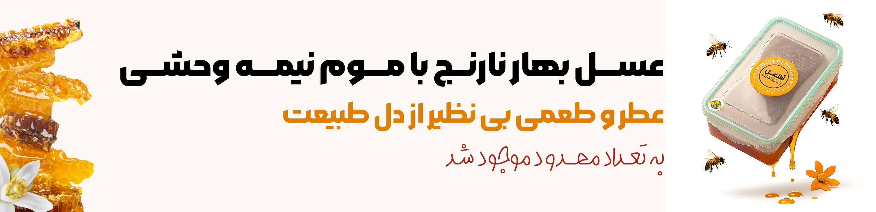 باموم بهارنارنج نیمه وحشی