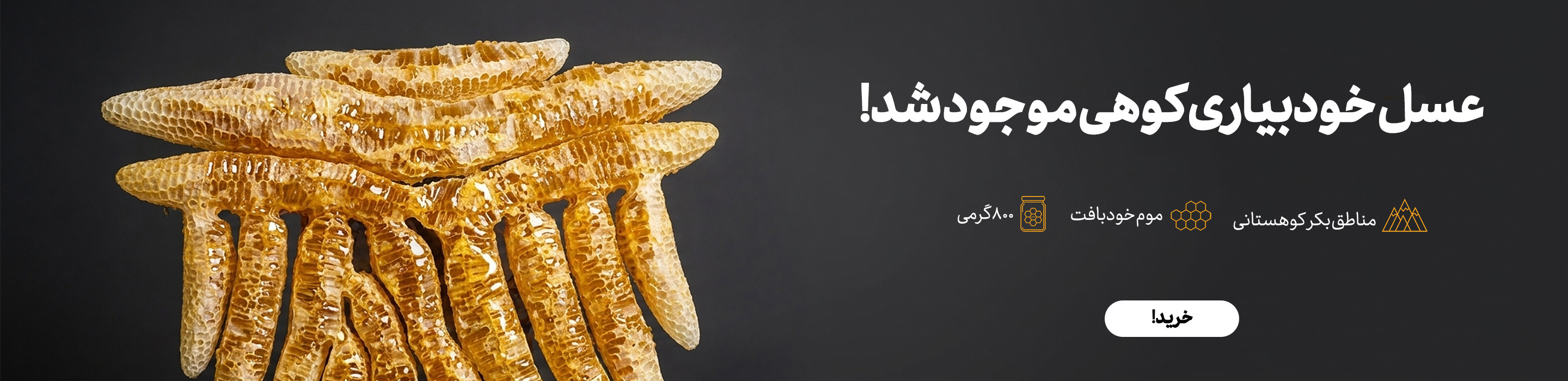 عسل خودبیاری کوهی