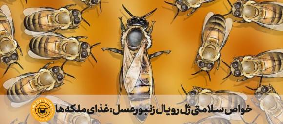 خواص سلامتی ژل رویال زنبورعسل: غذای ملکه‌ها