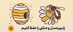 زنبورعسل وحشی را حفظ کنیم